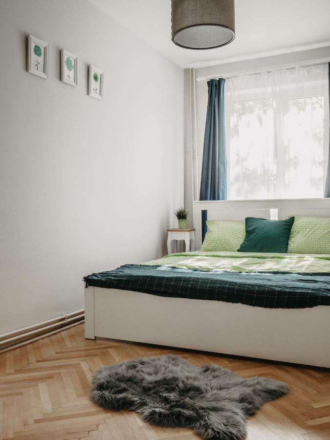 Business And Travel Central Apartment 티미쇼아라 외부 사진